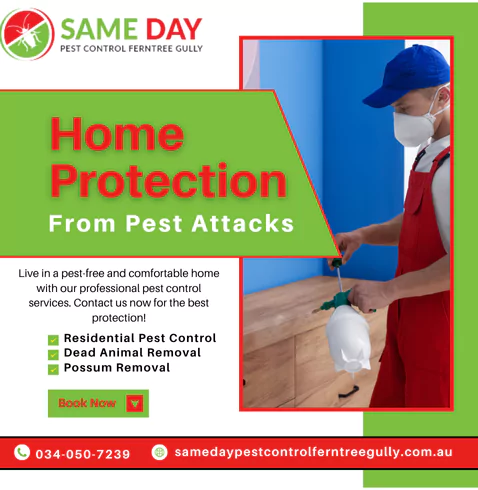 Pest Control Ferntree Gully